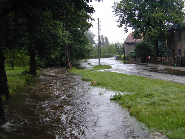 baernsdorf1