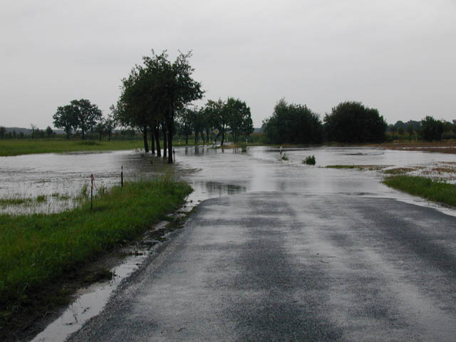 freitelsdorf1